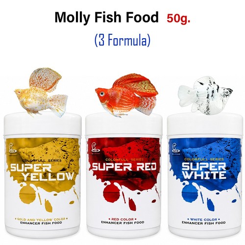 50g palloncino molly pasta - palloncino,