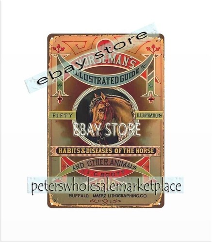 1880 cavaliere illustrato