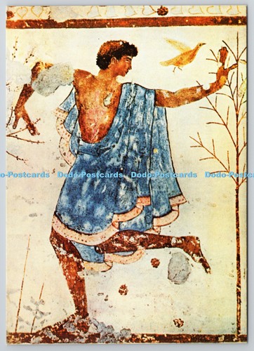 D329674 tarquinia tomba - d329674, tarquinia.