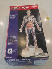 Skilcraft Visible Man Anatomy