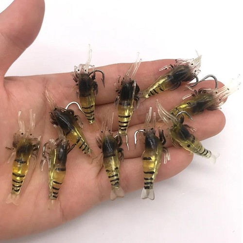 10x esche pesca - 10x,