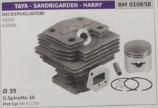 CILINDRO COMPLETO PISTONE DECESPUGLIATORE TAYA SANDRIGARDEN 4200S 4200W  Ø 39