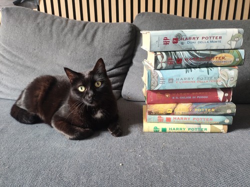 Harry potter serie completa - harry,