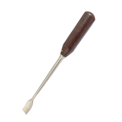 Sgorbia con collo - , cigno