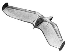 Crowfly Glider 32" apertura