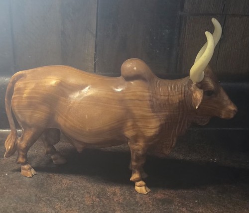 Toro brahma anni pre - brahma, 50-60