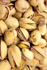 Pianta di Pistacchio Maschio