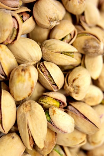 Pianta pistacchio maschio - di,
