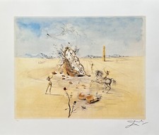 Salvador Dalì CAVALLO COSMICO firmato edizione limitata litografia arte
