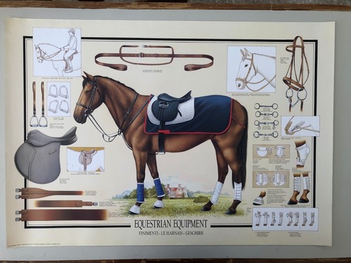 Attrezzatura equestre - attrezzatura,