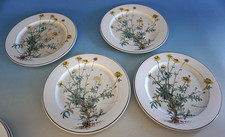 Villeroy & Boch Botanica 4 piatti piatto Anthemis 24 cm (F025-1274) DIFETTOSO
