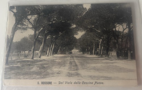 Cartolina san rossore - cartolina, di