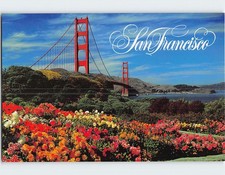 Cartolina Un tappeto di fiori