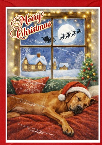 Biglietto natale rhodesian - biglietto,