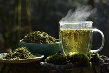 Passiflora - Passion Flower