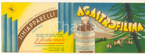 1935 torino farmaceutica - torino,