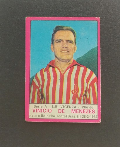 Figurina calcio panini - figurina,
