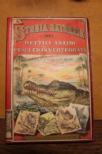 Sordelli storia naturale dei - sordelli,,
