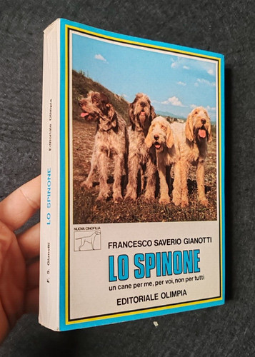 Gianotti spinone cane - spinone,