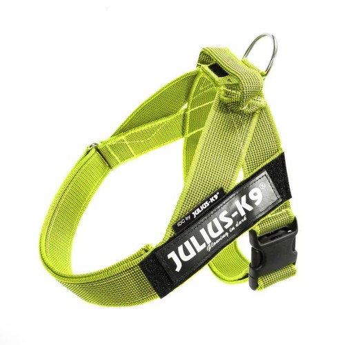 Julius idc cintura - k9,