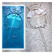 Timbro tappetino poliuretano