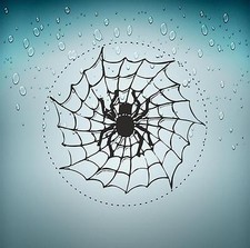 Sticker adesivi adesiva moto