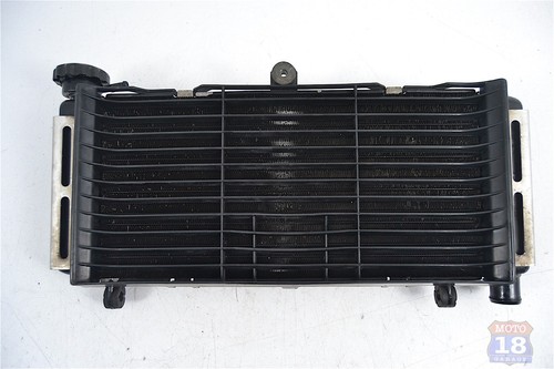 Radiatore originale con