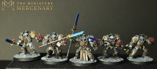 Warhammer 40k pro - pro, painted