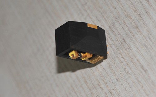 Exclusive ebony wood body - exclusive,