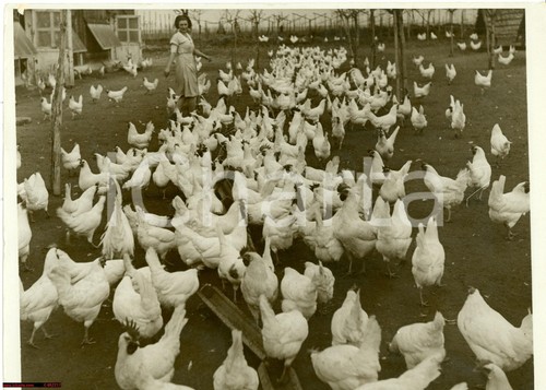 1935 roma massaie rurali - roma,