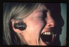 Bug 1975 Cult Sci Fi Horror