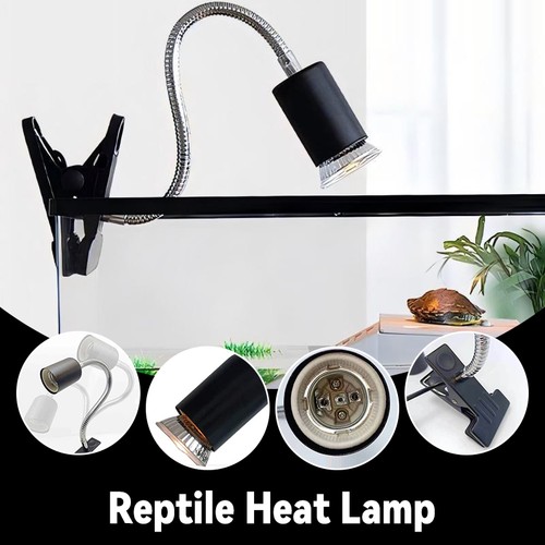 Lampada termica rettile - termica,
