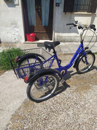 bicicletta donna 100