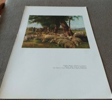 Stampa Stefano Bruzzi Pecore