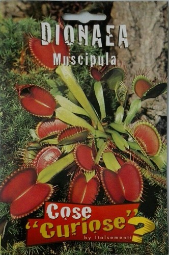 Semi dionaea muscipula - di,
