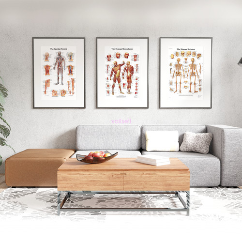 Set poster grafico - *set, di