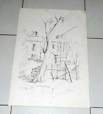 Litografia Prova d'autore PDA DINO PASQUERO L'albero 1986 grafica 35x50 
