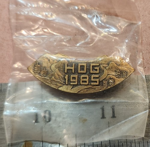 New 1985 hog - harley, davidson