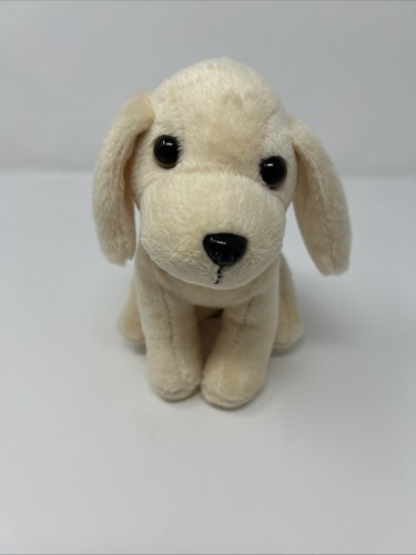 Golden retriever giallo - retriever,
