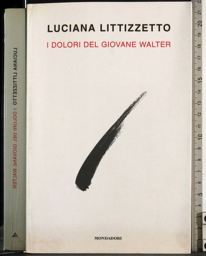 Dolori del giovane walter - i,