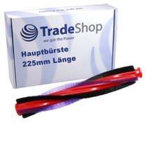 Spazzola principale spazzola a