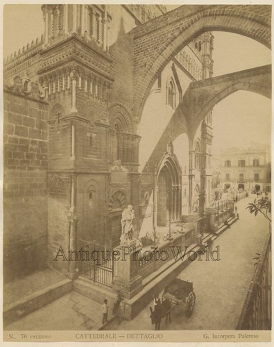 Palermo italia cathedral asino - italia,