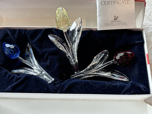 Swarovski scs members - 3,