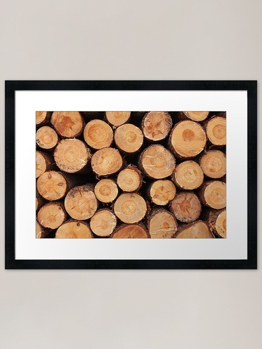 Modello tronchi legno - modello,
