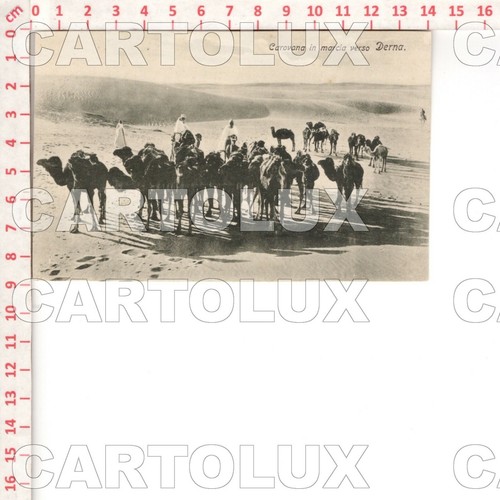 D8329 libya 1910 - d8329,