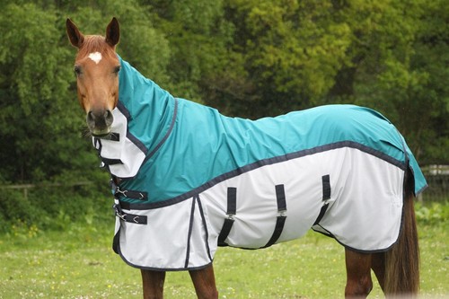 Tappeto cavallo rete - , affluenza
