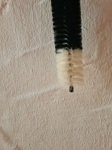 Spazzola per radiatore set