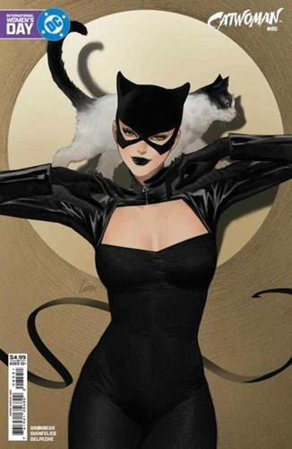 Catwoman cover e lesley - #85,