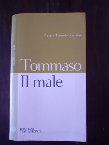 Tommaso aquino male - tommaso, il