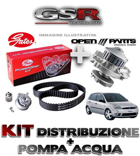 Kit distribuzione pompa - kit,
